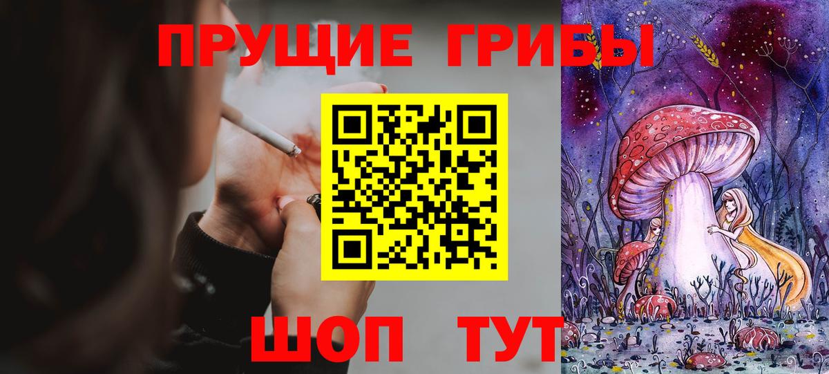 Шали  Псилоцибиновые грибы прущие грибы  Вход с VPN 