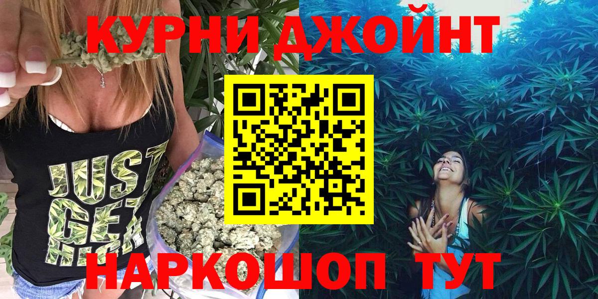 Канабис планчик Шали